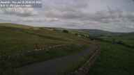 Webcam Thumbnail